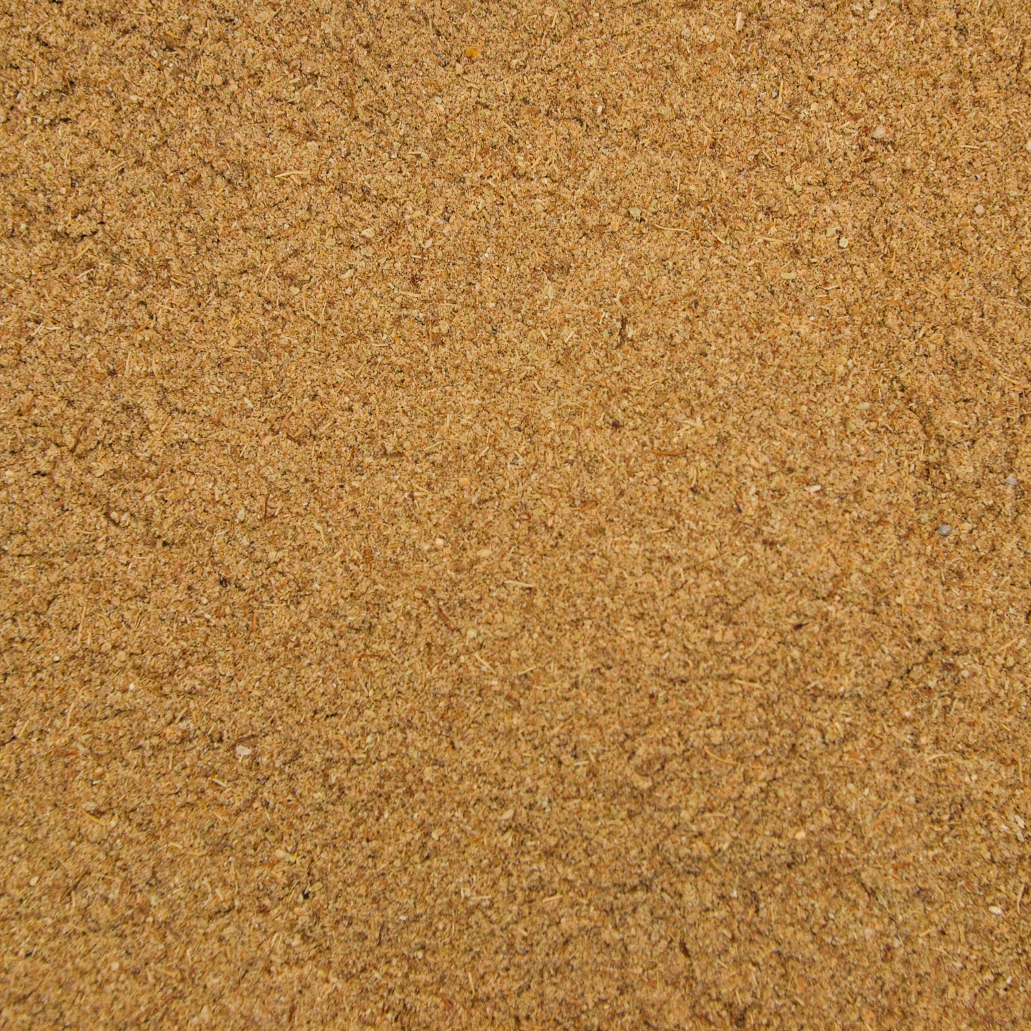 Cardamome Atelier 109