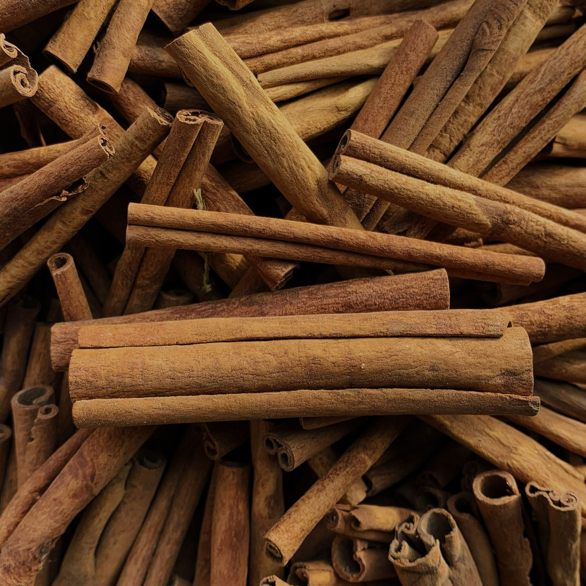 Baton cannelle ceylan Atelier 109