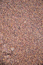 Sumac